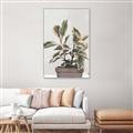 Picture of Pink Leaf House Plant _GroupedProduct_Rectangle_Portrait_Canvas_Framed_