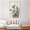 Picture of Pink Leaf House Plant _GroupedProduct_Rectangle_Portrait_Canvas_Framed_