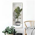 Picture of House Ficus _GroupedProduct_Panel_Portrait_Canvas_Framed_