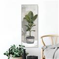 Picture of House Ficus _GroupedProduct_Panel_Portrait_Canvas_Framed_