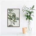 Picture of Leaf Garden _GroupedProduct_Rectangle_Portrait_Canvas_Framed_
