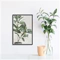 Picture of Leaf Garden _GroupedProduct_Rectangle_Portrait_Canvas_Framed_