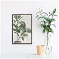 Picture of Leaf Garden _GroupedProduct_Rectangle_Portrait_Canvas_Framed_