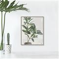 Picture of Leaf Garden _GroupedProduct_Rectangle_Portrait_Canvas_Framed_
