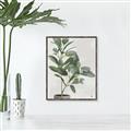 Picture of Leaf Garden _GroupedProduct_Rectangle_Portrait_Canvas_Framed_