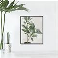 Picture of Leaf Garden _GroupedProduct_Rectangle_Portrait_Canvas_Framed_