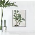 Picture of Leaf Garden _GroupedProduct_Rectangle_Portrait_Canvas_Framed_