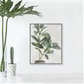 Picture of Leaf Garden _GroupedProduct_Rectangle_Portrait_Canvas_Framed_