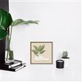 Picture of Plant Shoe Beige _GroupedProduct_Square_Canvas_Framed_