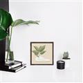 Picture of Plant Shoe Beige _GroupedProduct_Square_Canvas_Framed_