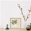 Picture of Plant Shoe Beige _GroupedProduct_Square_Canvas_Framed_