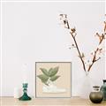 Picture of Plant Shoe Beige _GroupedProduct_Square_Canvas_Framed_