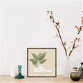 Picture of Plant Shoe Beige _GroupedProduct_Square_Canvas_Framed_