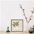 Picture of Plant Shoe Beige _GroupedProduct_Square_Canvas_Framed_