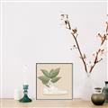 Picture of Plant Shoe Beige _GroupedProduct_Square_Canvas_Framed_