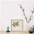 Picture of Plant Shoe Beige _GroupedProduct_Square_Canvas_Framed_