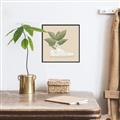 Picture of Plant Shoe Beige _GroupedProduct_Square_Canvas_Framed_