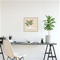 Picture of Plant Shoe Beige _GroupedProduct_Square_Canvas_Framed_