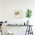 Picture of Plant Shoe Beige _GroupedProduct_Square_Canvas_Framed_