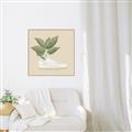 Picture of Plant Shoe Beige _GroupedProduct_Square_Canvas_Framed_
