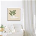 Picture of Plant Shoe Beige _GroupedProduct_Square_Canvas_Framed_