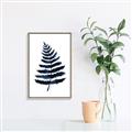 Picture of Blue Fern _GroupedProduct_Rectangle_Portrait_Canvas_Framed_