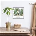 Picture of Good things frow here _GroupedProduct_Square_Canvas_Framed_