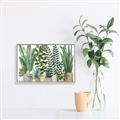 Picture of Plant Party _GroupedProduct_Rectangle_Landscape_Canvas_Framed_
