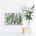 Picture of Plant Party _GroupedProduct_Rectangle_Landscape_Canvas_Framed_