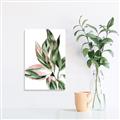 Picture of Leafy II _GroupedProduct_Rectangle_Portrait_Unframed_Print_Only_