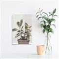 Picture of Pink Leaf House Plant _GroupedProduct_Rectangle_Portrait_Unframed_Print_Only_