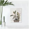 Picture of Pink Leaf House Plant _GroupedProduct_Rectangle_Portrait_Unframed_Print_Only_