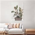 Picture of Pink Leaf House Plant _GroupedProduct_Rectangle_Portrait_Unframed_Print_Only_