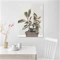 Picture of Pink Leaf House Plant _GroupedProduct_Rectangle_Portrait_Unframed_Print_Only_