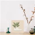 Picture of Plant Shoe Beige _GroupedProduct_Square_Unframed_Print_Only_