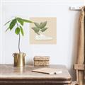 Picture of Plant Shoe Beige _GroupedProduct_Square_Unframed_Print_Only_