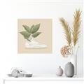 Picture of Plant Shoe Beige _GroupedProduct_Square_Unframed_Print_Only_