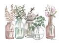 Picture of Bottled Plants I _GroupedProduct_Rectangle_Landscape_Unframed_Print_Only_