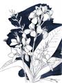Picture of Blue & White Flower I  _GroupedProduct_Rectangle_Portrait_Unframed_Print_Only_