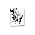 Picture of Black Botanical _GroupedProduct_Rectangle_Portrait_Canvas_