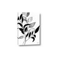 Picture of Black Botanical _GroupedProduct_Rectangle_Portrait_Canvas_