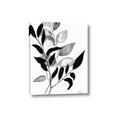 Picture of Black Botanical _GroupedProduct_Rectangle_Portrait_Canvas_