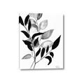 Picture of Black Botanical _GroupedProduct_Rectangle_Portrait_Canvas_