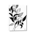 Picture of Black Botanical _GroupedProduct_Rectangle_Portrait_Canvas_