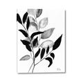 Picture of Black Botanical _GroupedProduct_Rectangle_Portrait_Canvas_