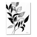 Picture of Black Botanical _GroupedProduct_Rectangle_Portrait_Canvas_