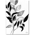 Picture of Black Botanical _GroupedProduct_Rectangle_Portrait_Canvas_