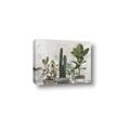 Picture of Plant Group _GroupedProduct_Rectangle_Landscape_Canvas_