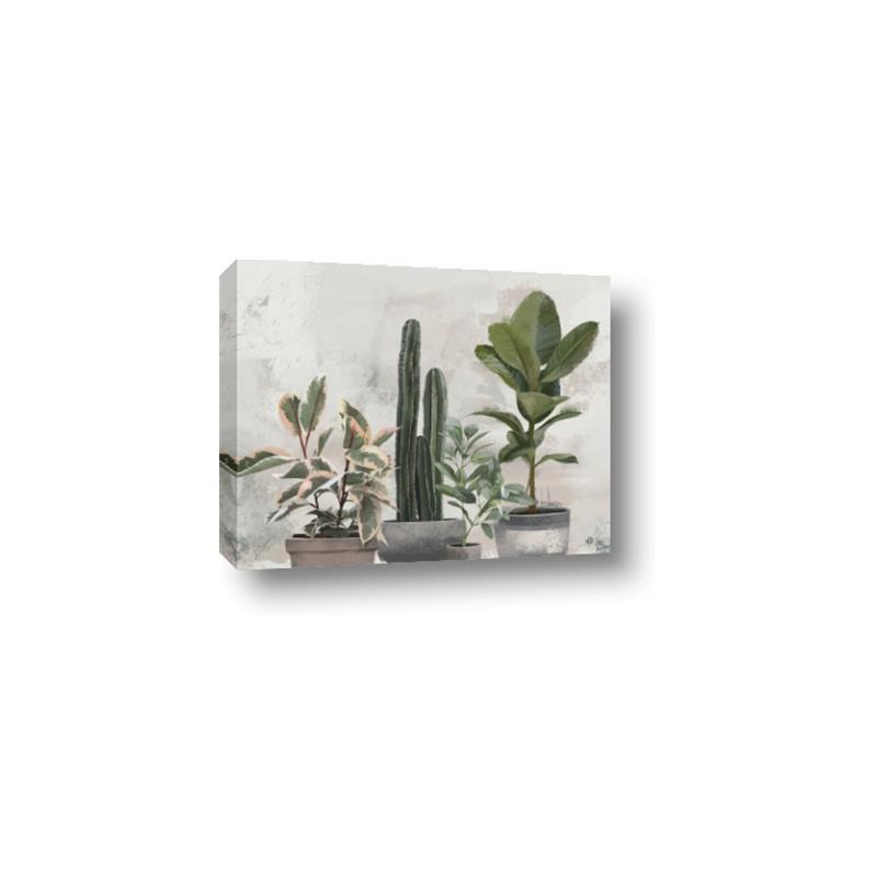 Picture of Plant Group _GroupedProduct_Rectangle_Landscape_Canvas_