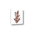 Picture of Rust Color Eucalyptus I  _GroupedProduct_Rectangle_Portrait_Canvas_